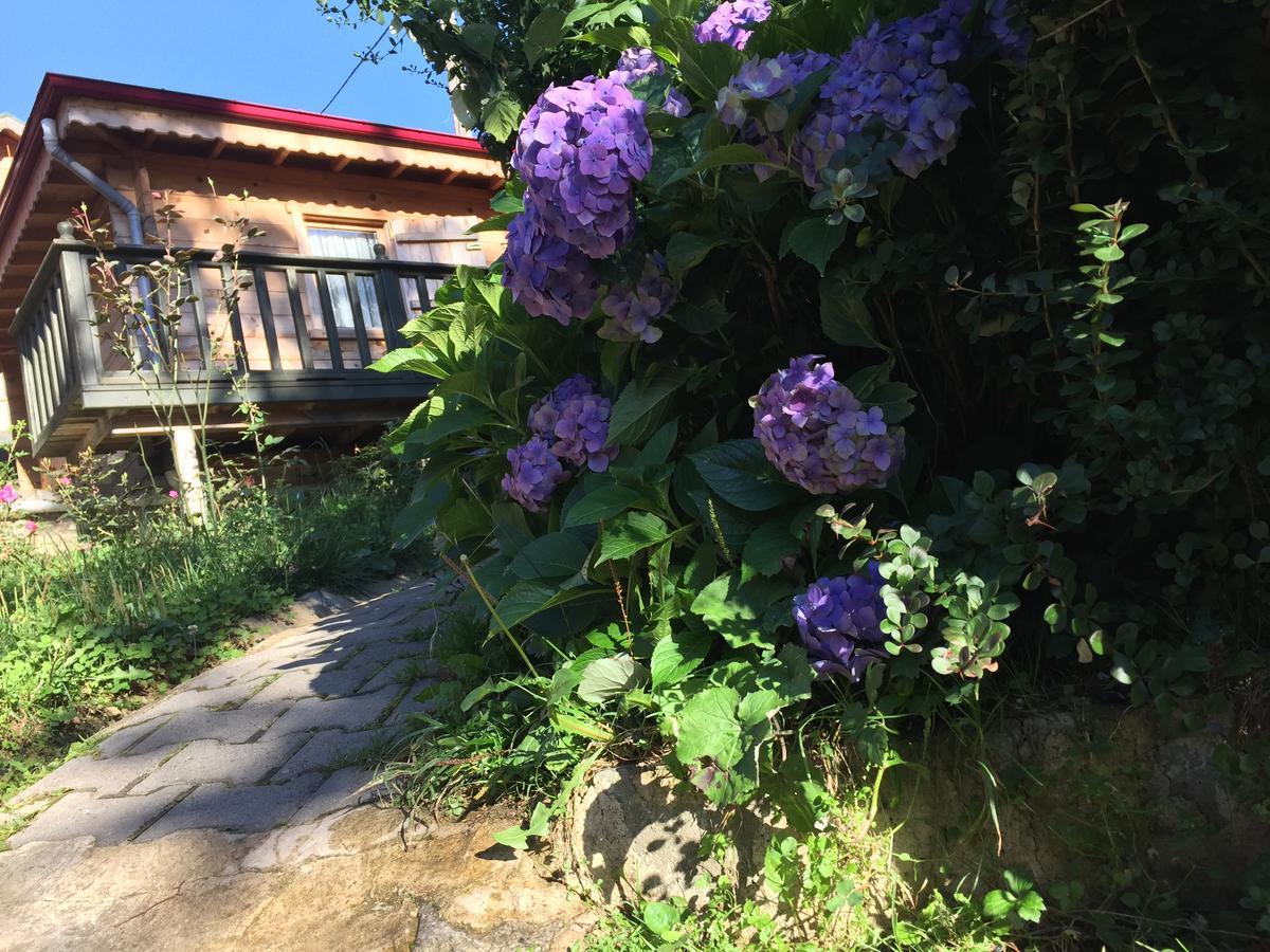 Pilita Bungalov&Rest Ayder Yaylasi Exterior foto
